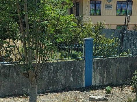Zone values per sqm lot in SAN CARLOS CITY, Pangasinan.